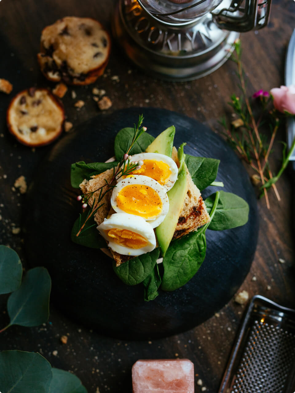 Sports Nutrition